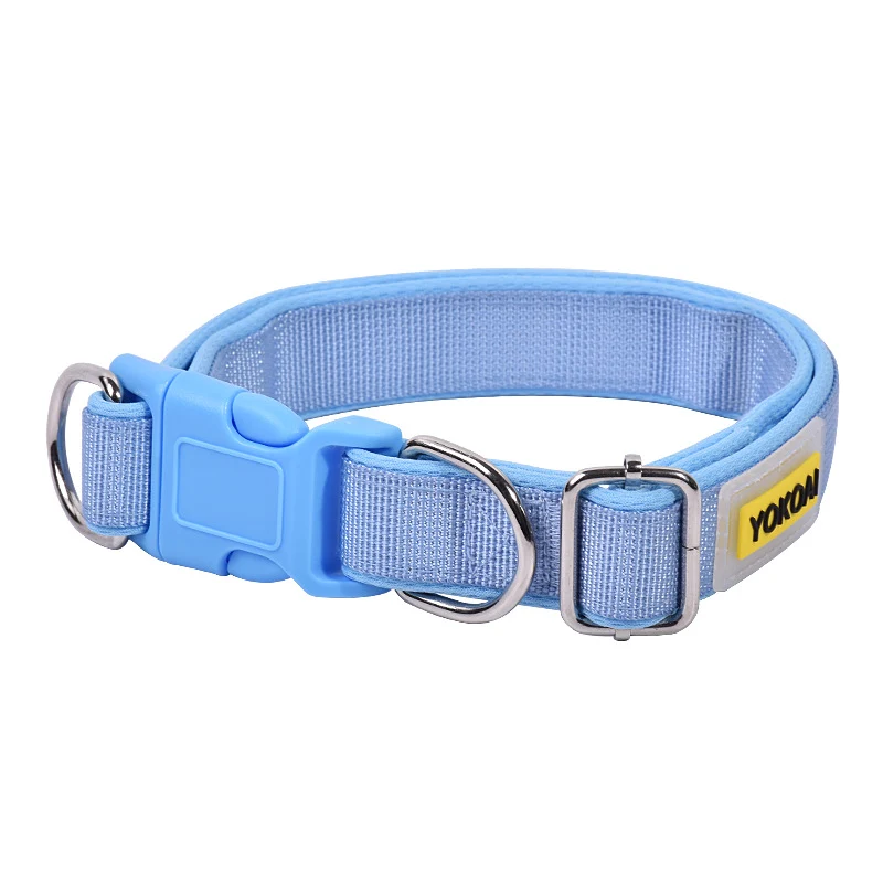 Hundehalsband aus Polypropylen