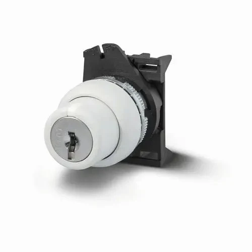 Giovenzana PSCR8D0NGL4X Key Selector Switch Black 0-right 2-position 90deg NEMA