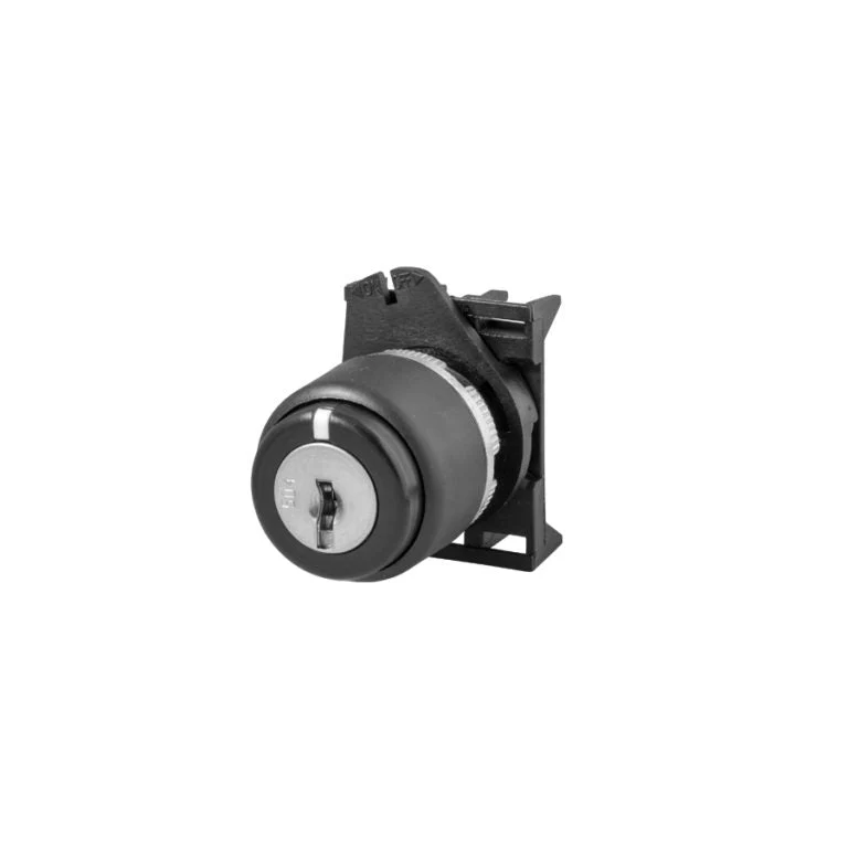 Giovenzana PSCR8D0N Key Selector Switch Black 0-right 2-position 90deg