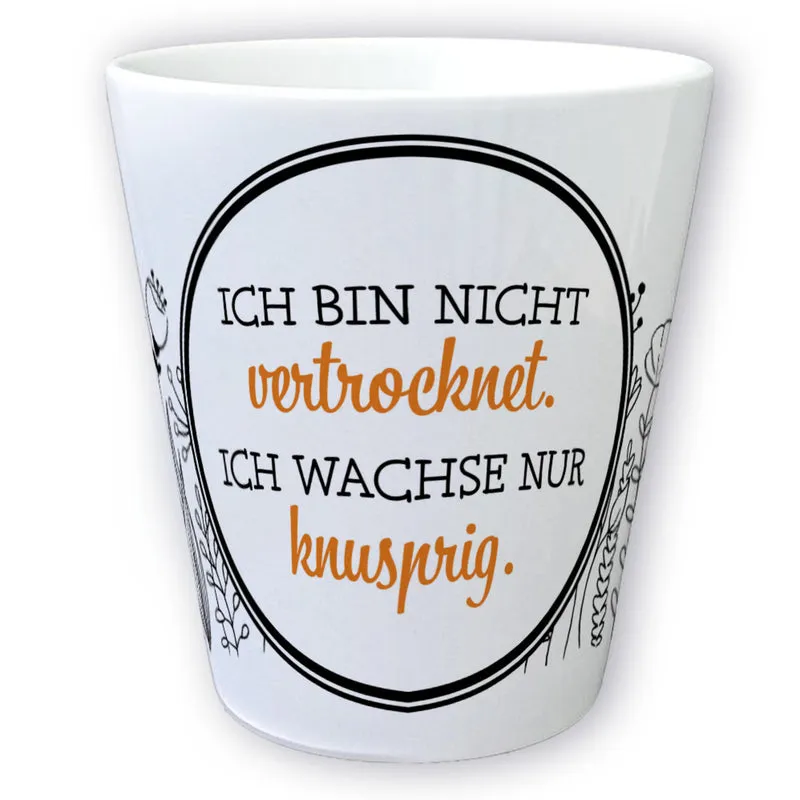 Ich bin nicht vertrocknet ich wachse knusprig Blumentopf aus Keramik