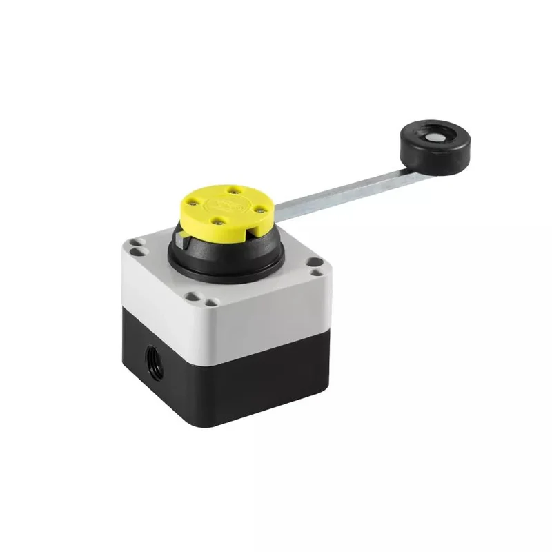 Giovenzana FFH2C-1 Tackle Position Limit Switch 2 Contacts 20A Roller IP65