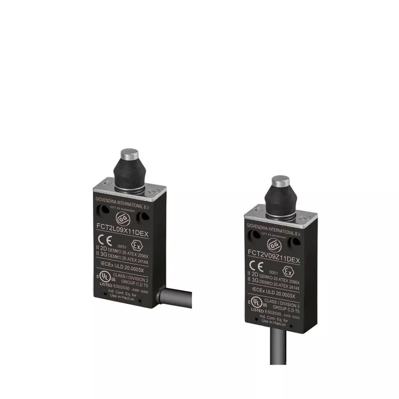 Giovenzana FCT2L09Z11D Wired Limit Switch 30mm flexible rod NC+NO 2m Cable