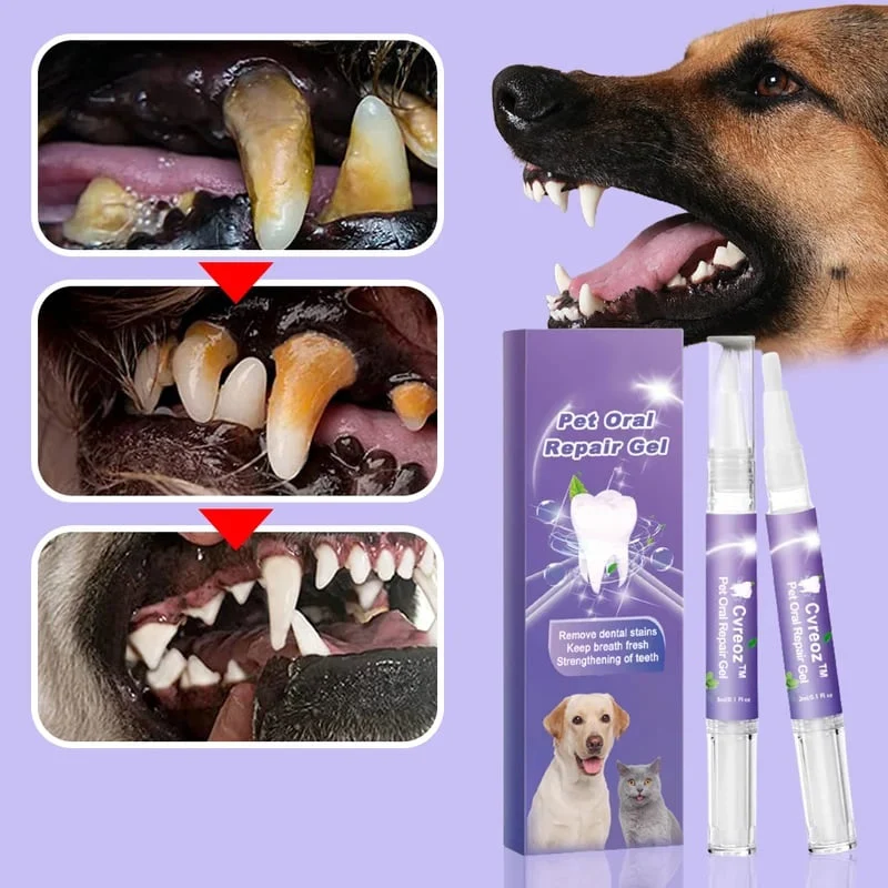 1+1 GRATIS | PurePaw™ — Verwandelt jeden Schnauzen-Kuss in strahlende Frische und Liebesmomente