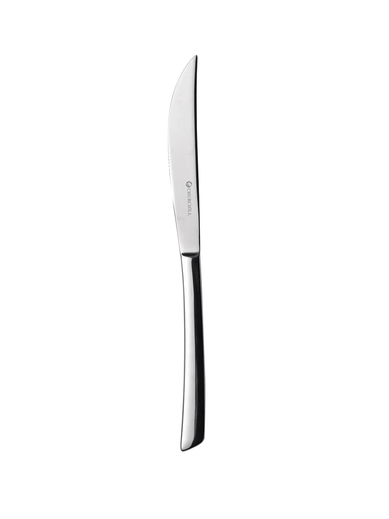 Evolve Steakmesser 24cm