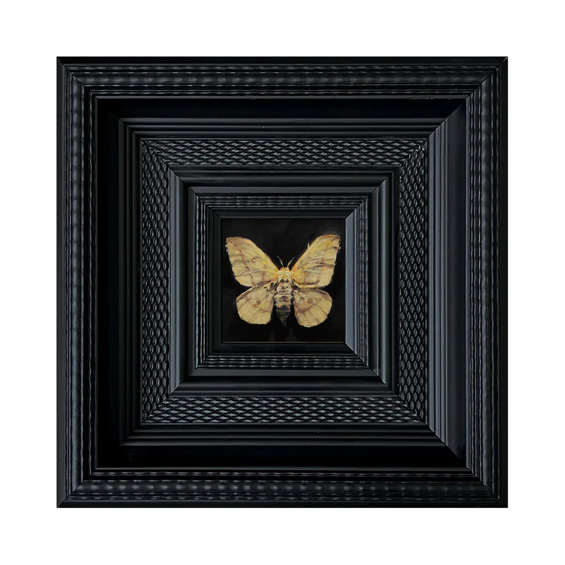 Insektenkunst Anzeige in Rahmen