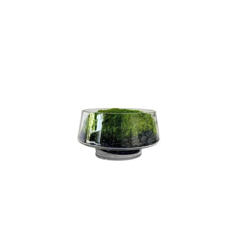 Dekoratives Terrarium
