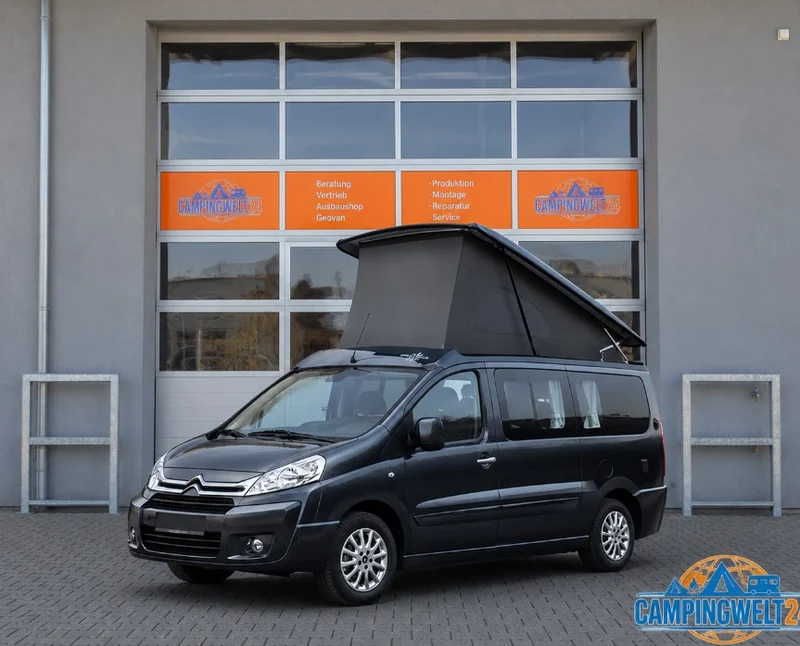 Thermomatte, Expert, Scudo, Jumpy, Proace, Fahrerhaus, 2006-2016