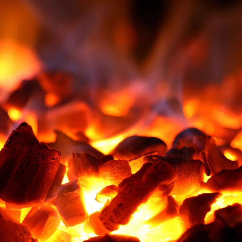 Profi Holzkohle-Grillofen für Gastronomie , Kapazität 75 kg/h , GN 1/1, CBQ-075/RX
