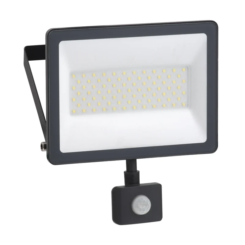 Schneider IMT47221 Mureva LED Floodlight 50 W 6500 K IP44 230V IR Sensor
