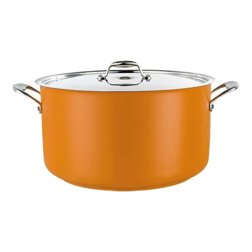 Visok lonec srednje velikosti iz nerjavnega jekla 18/10 | Pujadas | Primeren za indukcijo | Ø20 x V13 cm | 3,7 L