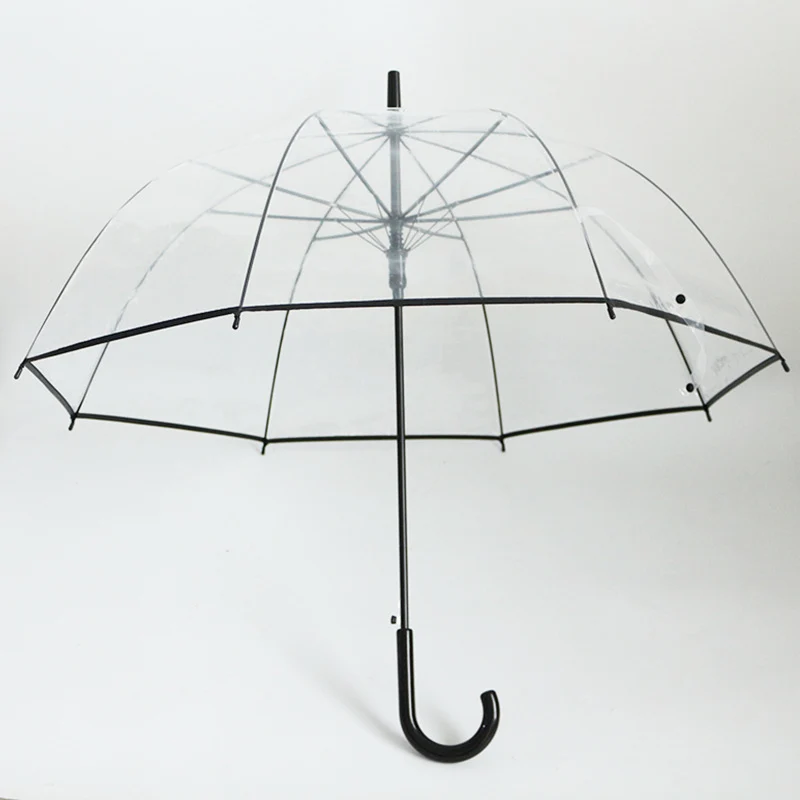 Damen transparenter Regenbogen Karnz