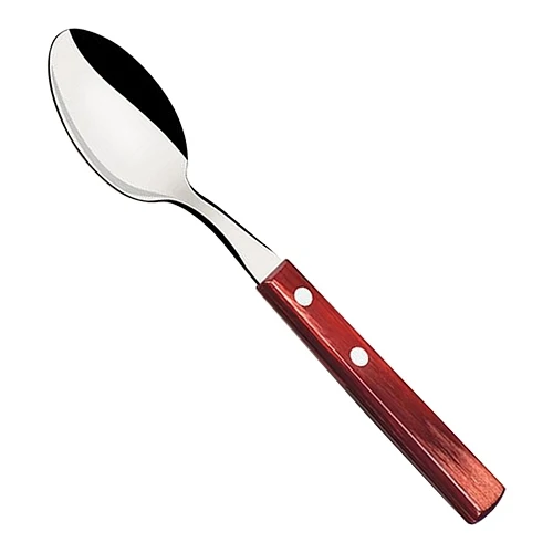Žlica za steak | Tramontina | Nerjavno jeklo z lesenim ročajem | Primerno za pomivanje v pomivalnem stroju | 19 cm